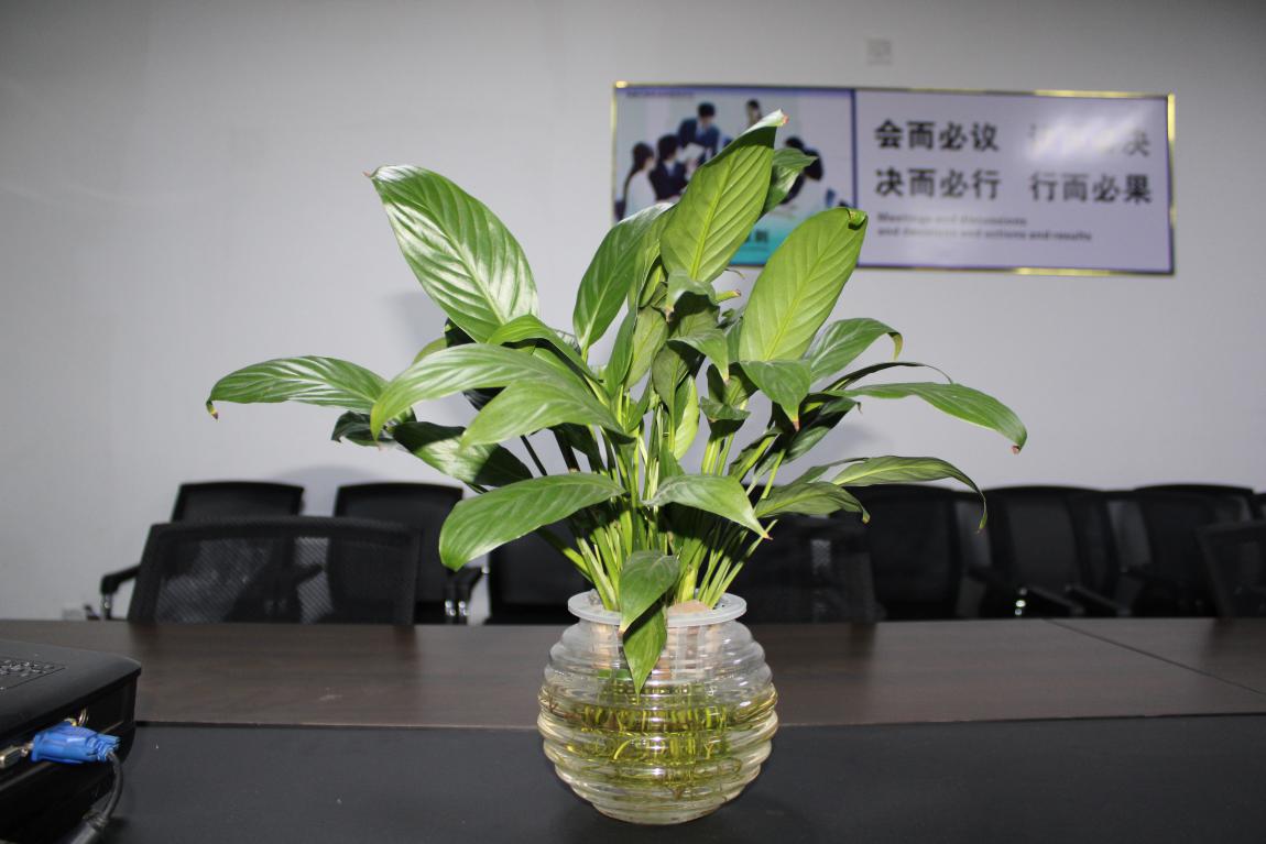 【高能計算機】您的每一個(gè)生日 我都不想缺席